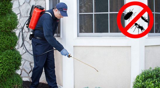 Kuyucak Dezenfeksiyon böcek ilaçlama ve haşere kontrolü — ilaclama-tr.com